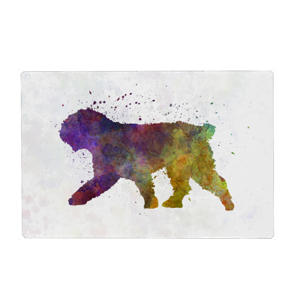 Holzbild "Spanish Water Dog in watercolor" artboxONE - Tiere,Abstrakt - Dog,Pet,Animal,Mammal,Watercolor,Abstract,Abstrakt,Bunt,Colorful,Tier,Hund