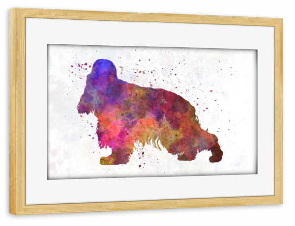 Poster mit Rahmen kiefer "English Cocher Spaniel" artboxONE - Tiere,Abstrakt