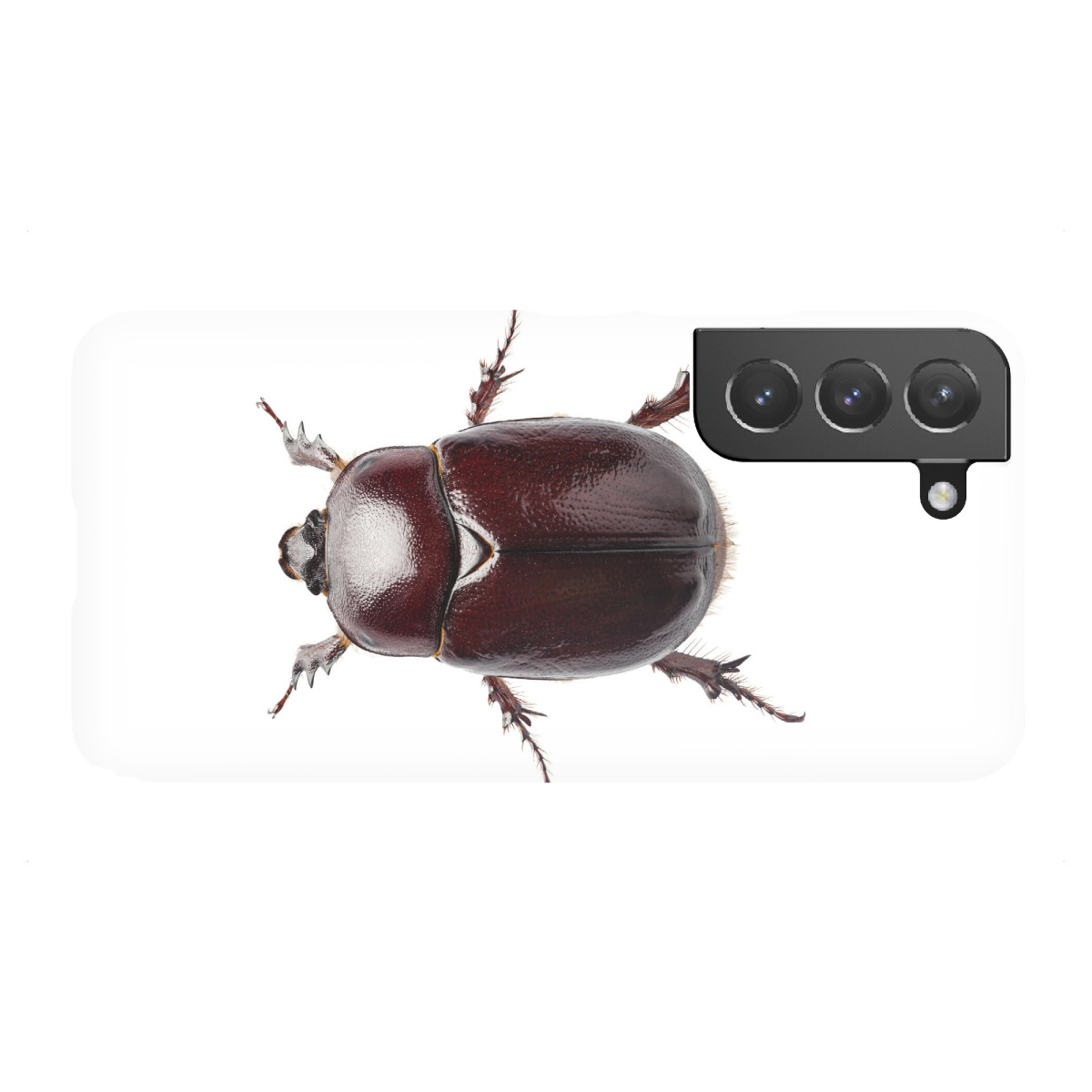 Samsung Galaxy "European rhinoceros beetle" Premium-Case Handyhülle artboxONE
