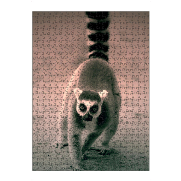 Puzzle Ravensburger "Niedlicher Katta Lemure" artboxONE - Für Kinder,Tiere,Schwarzweiß,Lustig