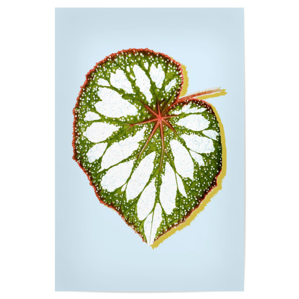 Poster "Prodigy" artboxONE - Natur - Watercolor,Nature,Leaves,Tropical,Exotic,Botanical,Plant,Botanisch,Pflanze,Natur