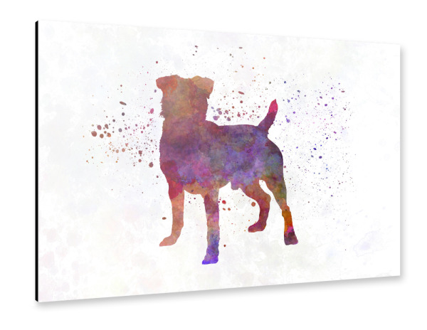 Alu-Dibond "German Hunting Terrier dog" 30x20 cm artboxONE