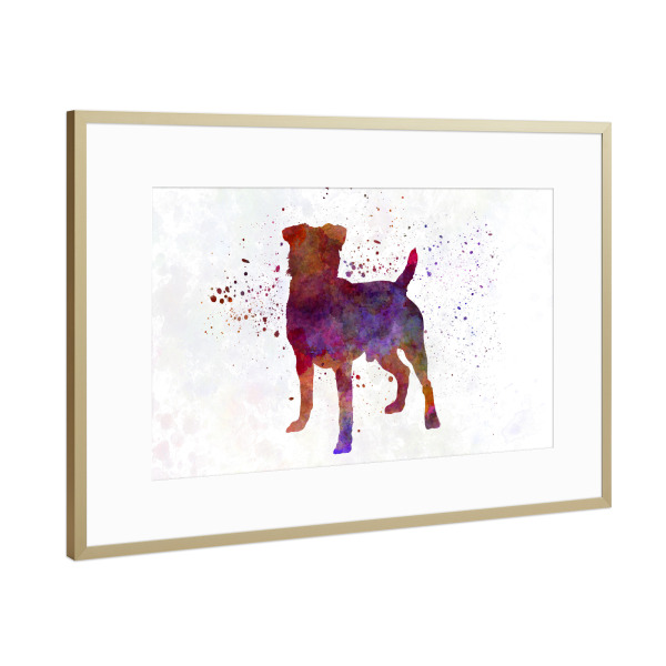 Poster mit Rahmen Gold "German Hunting Terrier dog" artboxONE - Tiere,Abstrakt