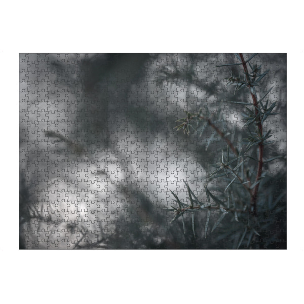 Puzzle Ravensburger "Juniperus" artboxONE - Natur,Floral