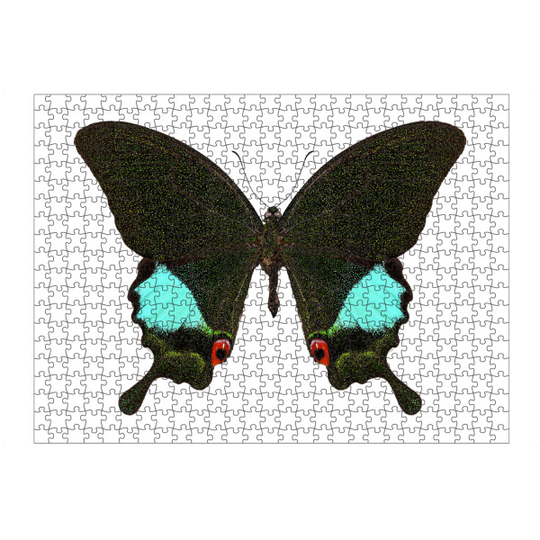 Puzzle Ravensburger "Papilio Karna Karna" artboxONE - Natur,Tiere