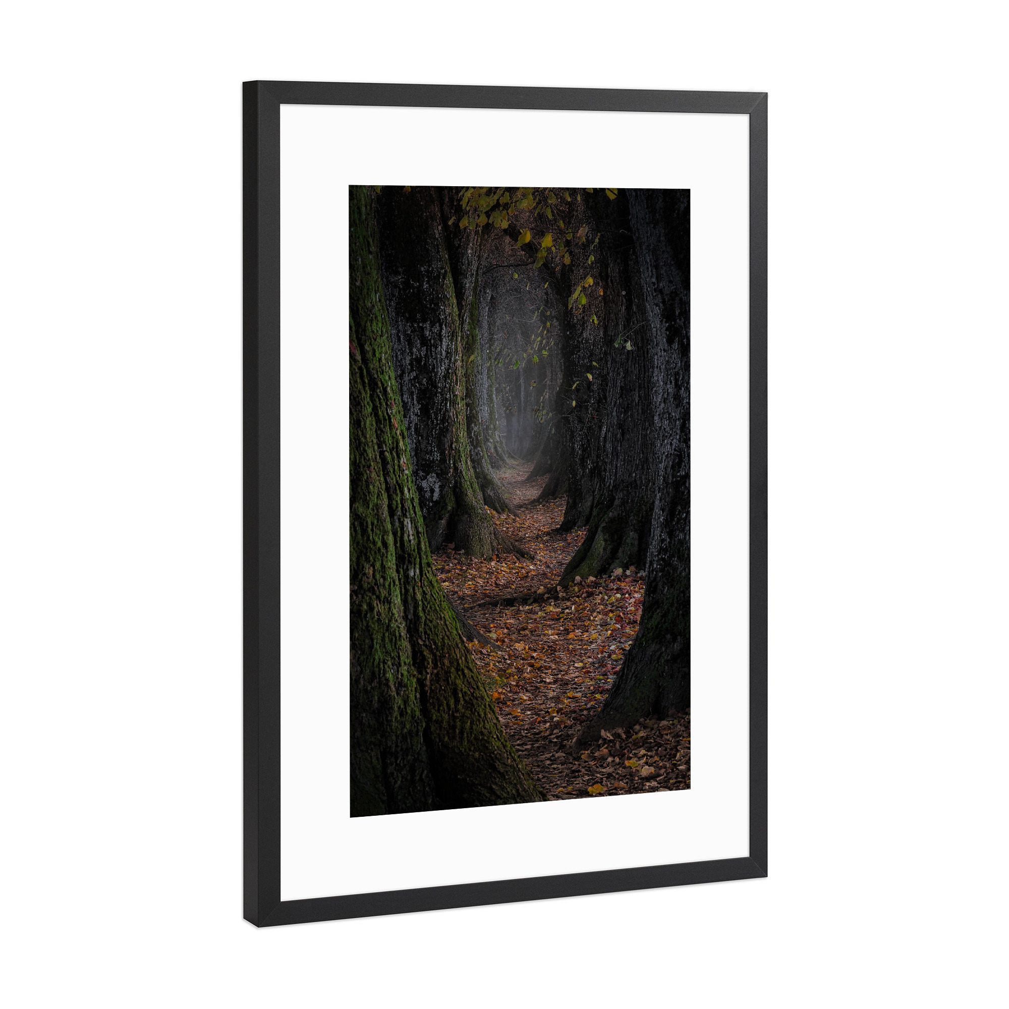 Poster mit Rahmen Schwarz (Metallic) "Die Allee" artboxONE - Natur