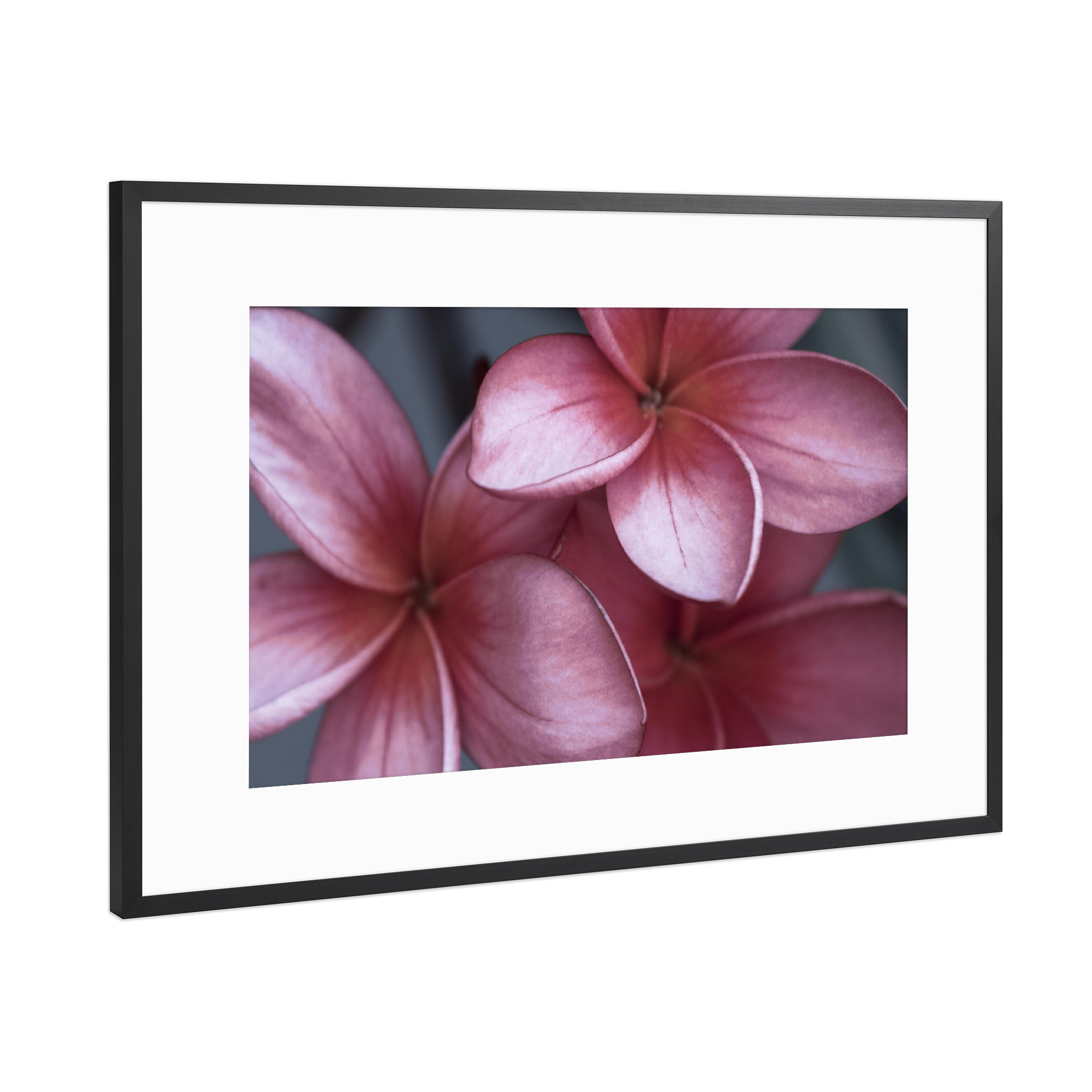 Poster mit Rahmen Schwarz (Metallic) "Simple and Beautiful" artboxONE - Natur,Floral