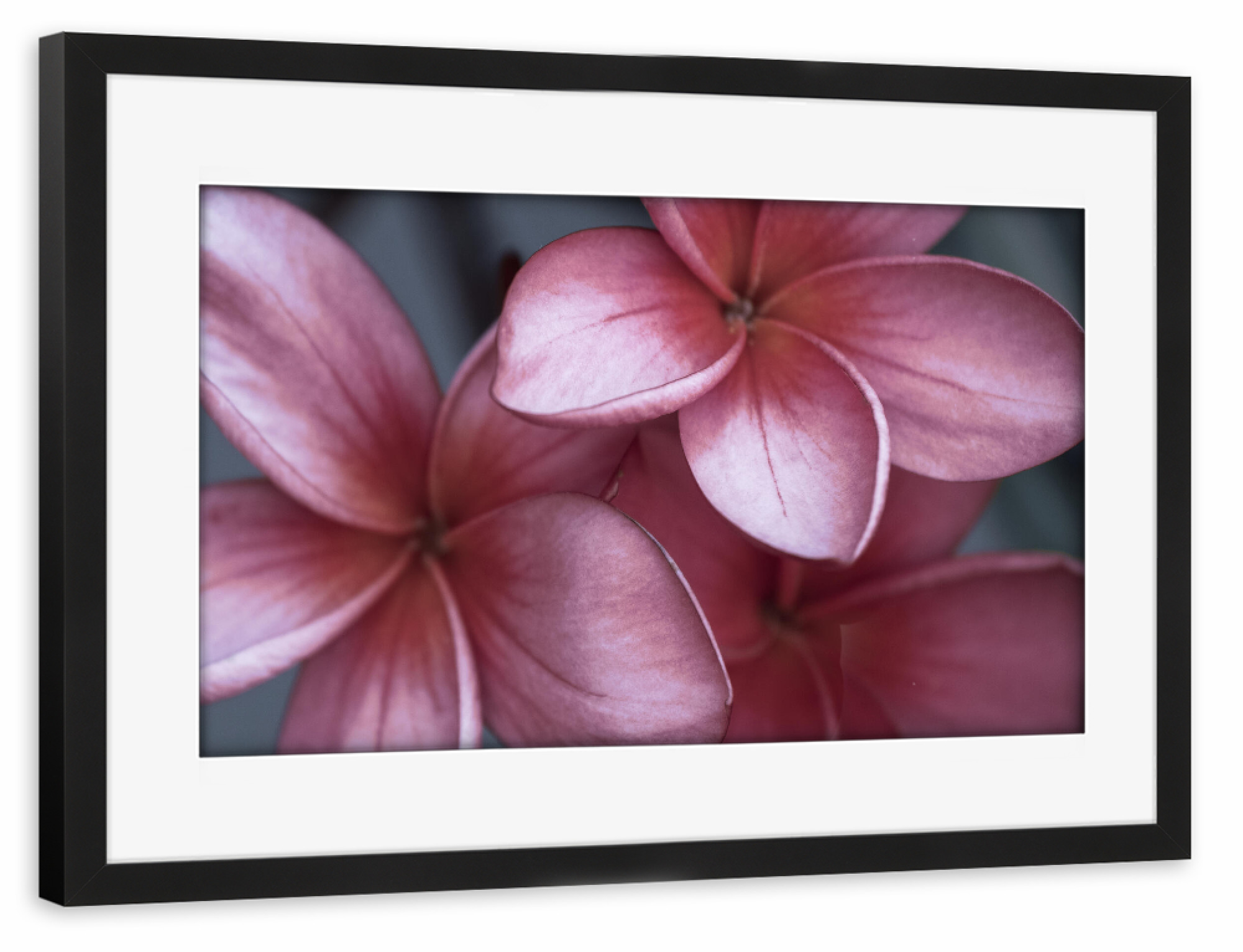 Poster mit Rahmen schwarz "Simple and Beautiful" artboxONE - Natur,Floral