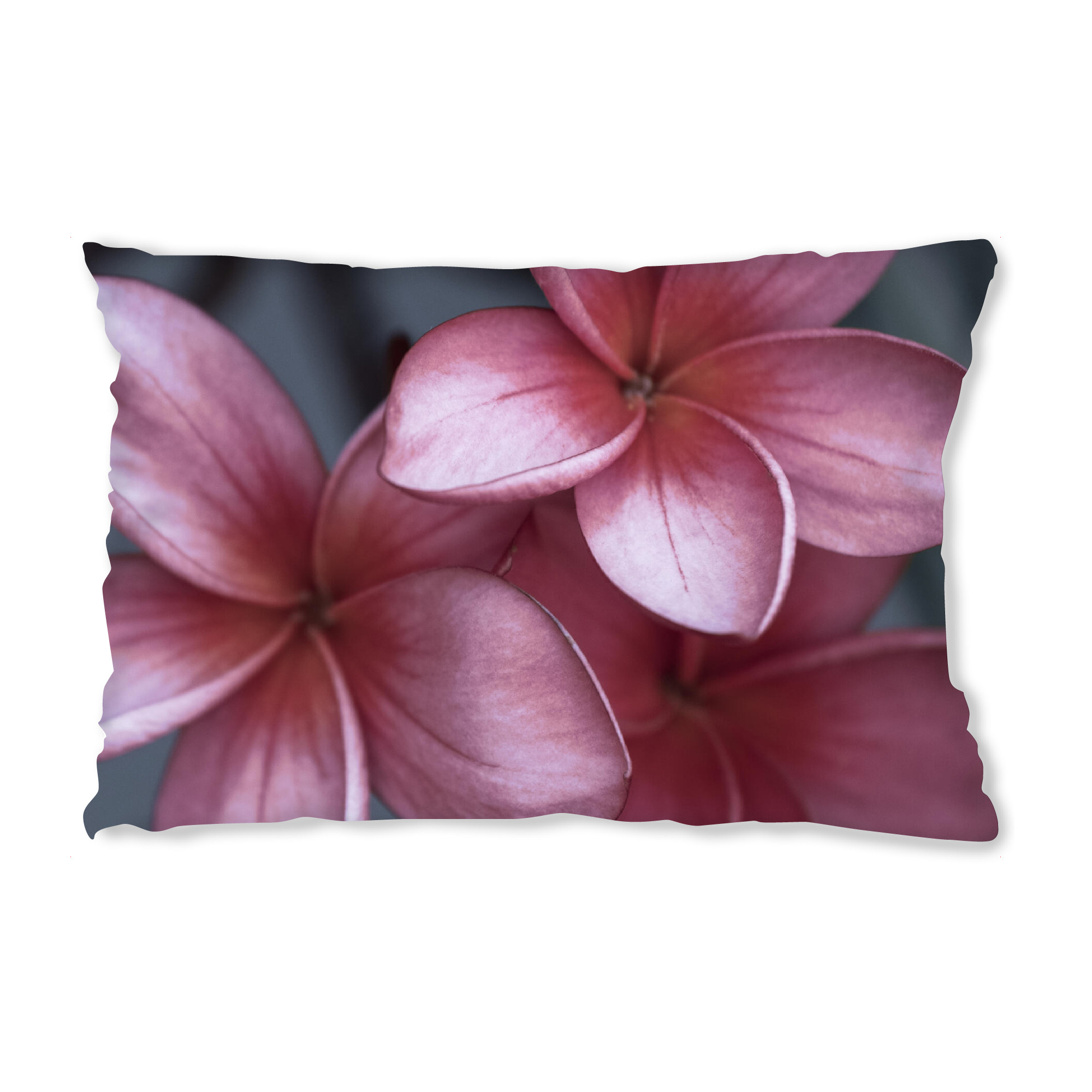 Design-Kissen "Simple and Beautiful" artboxONE - Natur,Floral