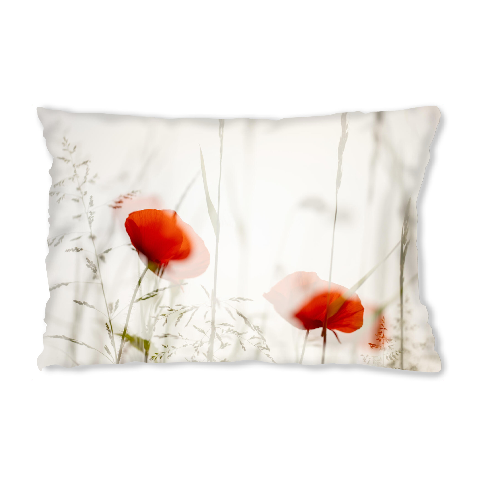 Design-Kissen "Mohnblüten am Feld" artboxONE - Floral - Mohn,Wegrand,Rot,Gras,Doppelbelichtung,Feld,Blumen,Flowers,Floral,Natur,Nature