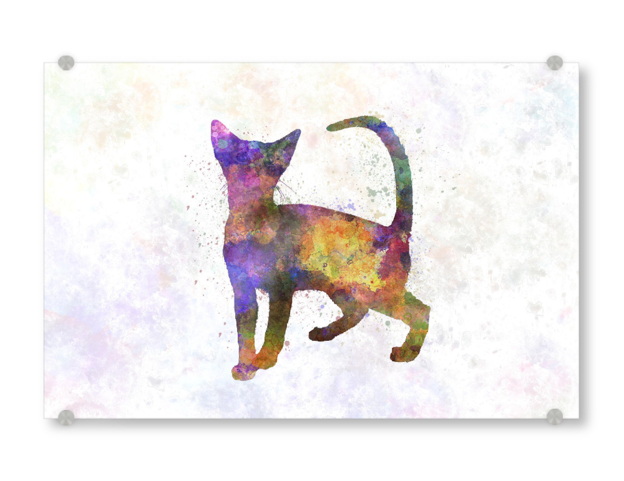 Acrylglasbild "Abisinio cat in watercolor" artboxONE - Tiere,Abstrakt