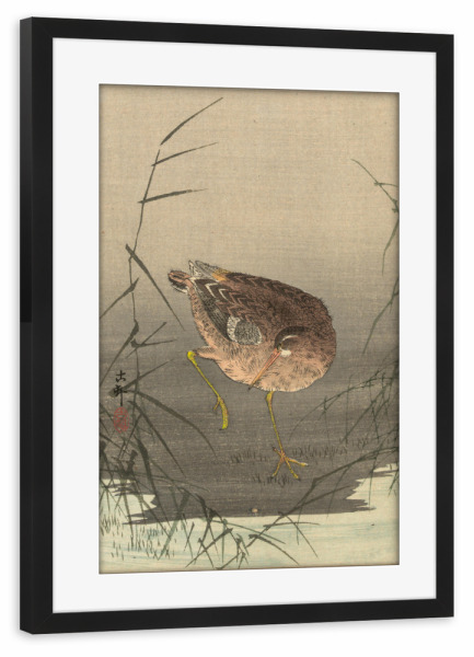 Poster mit Rahmen schwarz "Schnepfe im Sumpf" artboxONE - Natur,Tiere