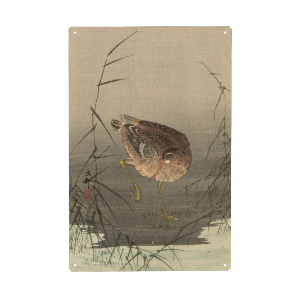 Metall Poster "Schnepfe im Sumpf" artboxONE - Natur,Tiere - Koson ohara,Schnepfe,Tier,Animal,Natur,Nature,Sumpf,Japan,Malerei,Gemälde,Kunst