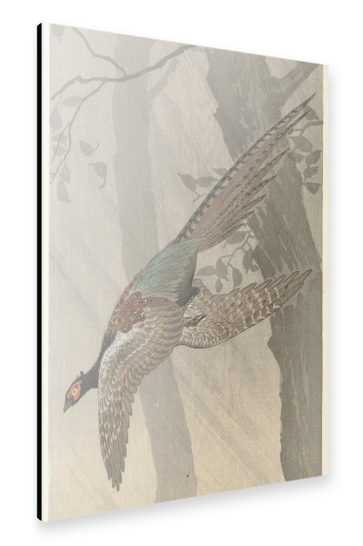 Alu-Dibond "Fliegender Fasan" 30x20 cm artboxONE
