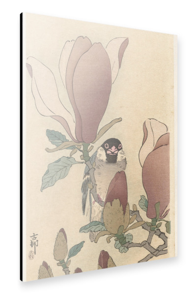 Alu-Dibond "Spatz auf Magnolienzweig" 30x20 cm artboxONE