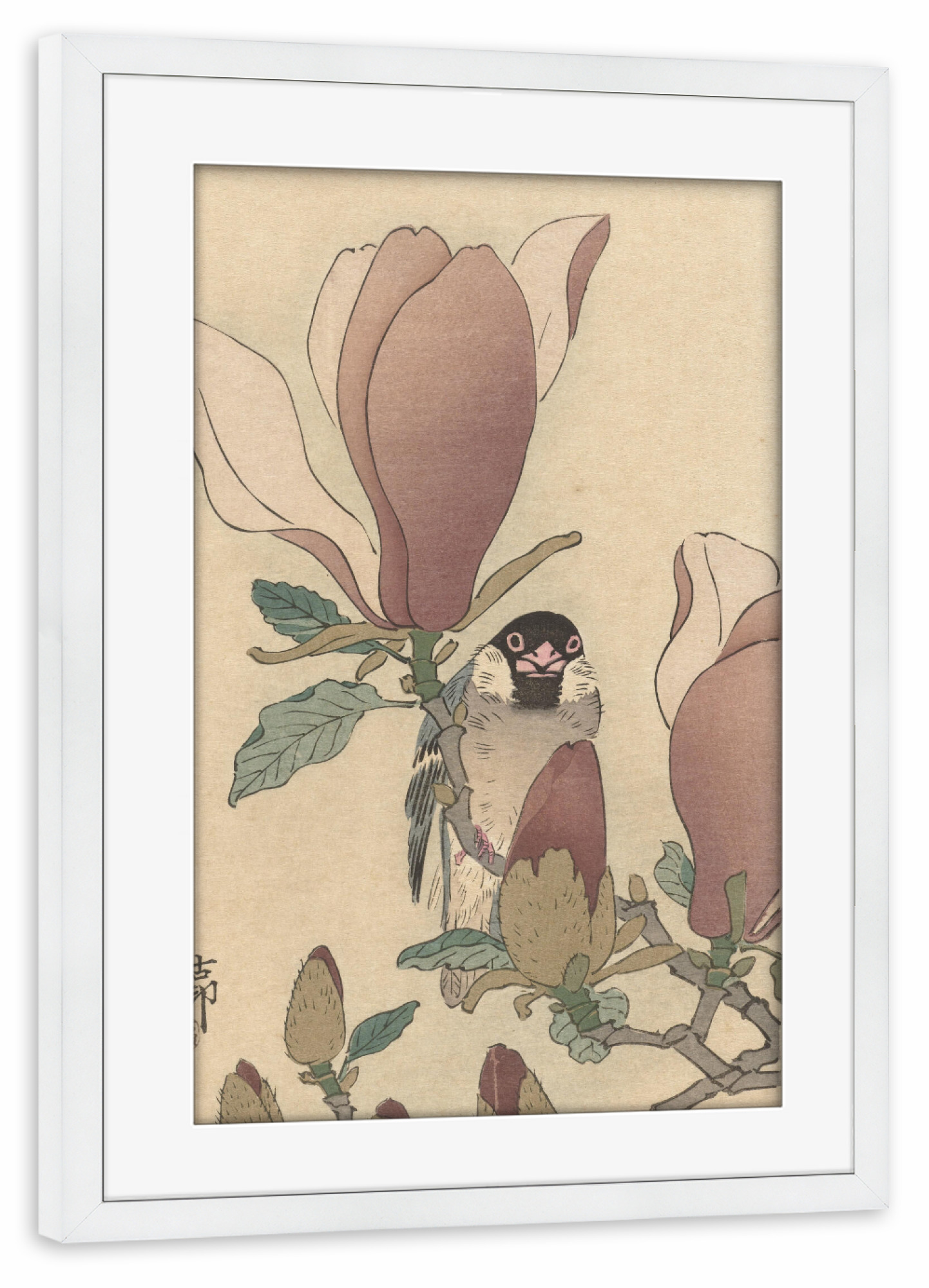 Poster mit Rahmen weiß "Spatz auf Magnolienzweig" artboxONE - Natur,Floral