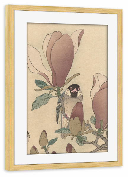 Poster mit Rahmen kiefer "Spatz auf Magnolienzweig" artboxONE - Natur,Floral