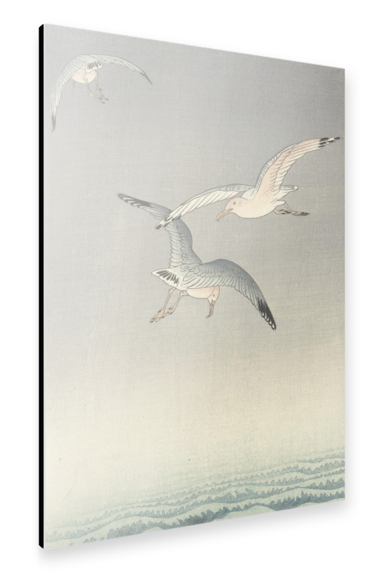 Alu-Dibond "Drei Möwen" 75x50 cm artboxONE
