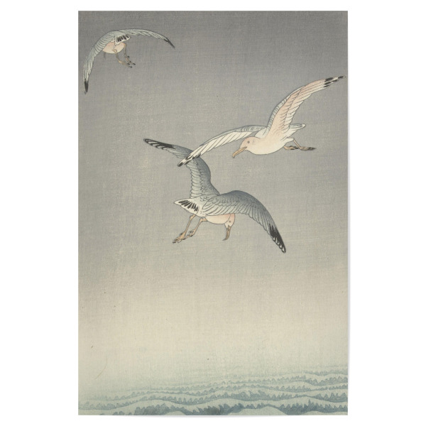 Poster 30x20 cm "Drei Möwen" artboxONE - Natur,Reise,Tiere,Reise / Strand und Meer