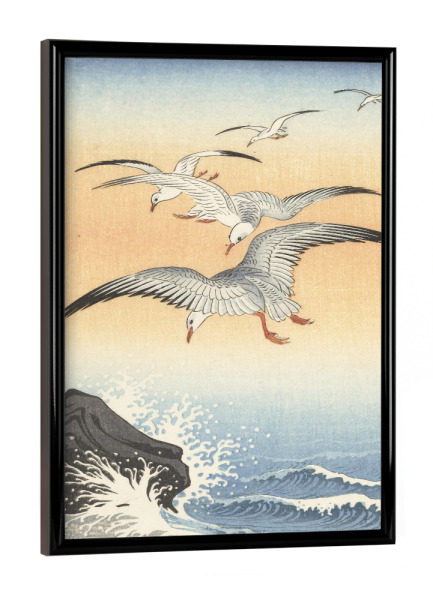 Poster mit schwarzem Rahmen "Fünf Möwen über dem Meer" artboxONE - Natur,Tiere