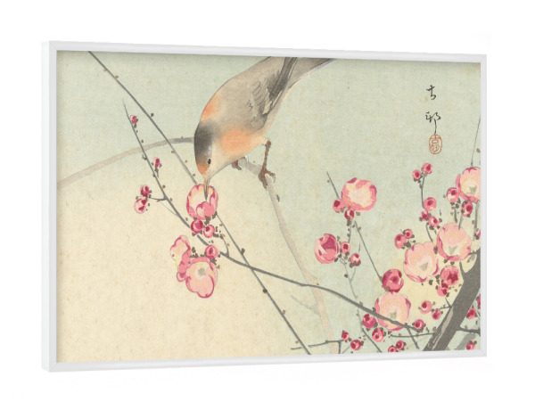 Poster mit weißem Rahmen "Singvogel auf Blütenzweig" artboxONE - Natur,Floral,Tiere - Natur,Vogel,Japan,Ohara,Koson,Malerei,Gemälde,Kunst,Floral,Bird