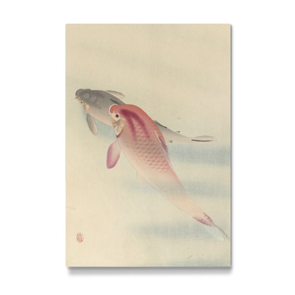 Galerie-Print "Zwei Karpfen" 30x20 cm artboxONE