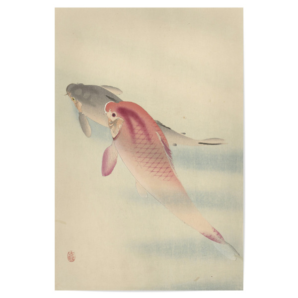 Poster "Zwei Karpfen" artboxONE - Natur,Tiere - Ohara,Koson,Japan,Malerei,Gemälde,Kunst,Natur,Tiere,Karpfen
