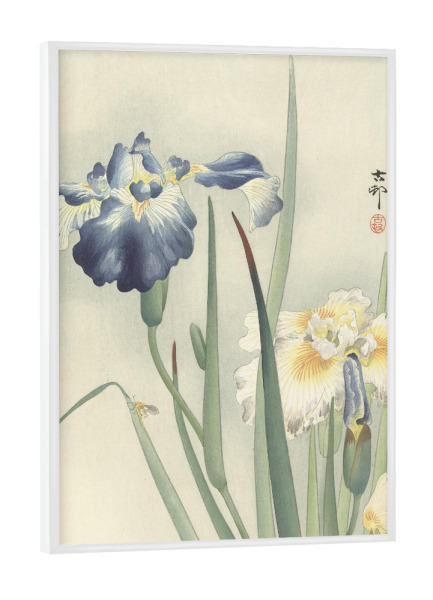 Poster mit weißem Rahmen "Irise" artboxONE - Natur,Floral - Ohara,Koson,Kunst,Malerei,Gemälde,Floral,Natur,Blumen,Blüten