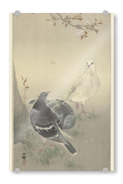 Acrylglasbild "Drei zahme Tauben" artboxONE - Natur,Tiere - Ohara,Koson,Tier,Animal,Brid,Vogel,Kunst,Malerei,Gemälde,Tauben,Japan