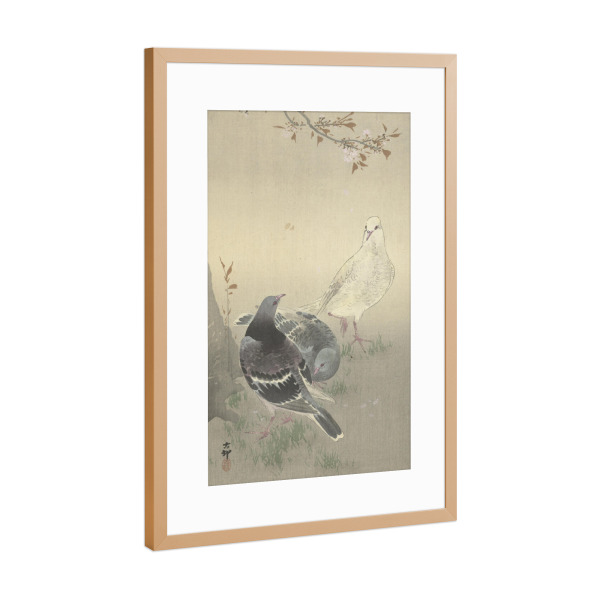 Poster mit Rahmen Kupfer "Drei zahme Tauben" artboxONE - Natur,Tiere - Ohara,Koson,Tier,Animal,Brid,Vogel,Kunst,Malerei,Gemälde,Tauben,Japan