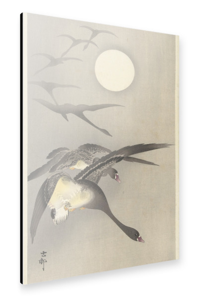 Alu-Dibond "Gänse bei Vollmond" 30x20 cm artboxONE