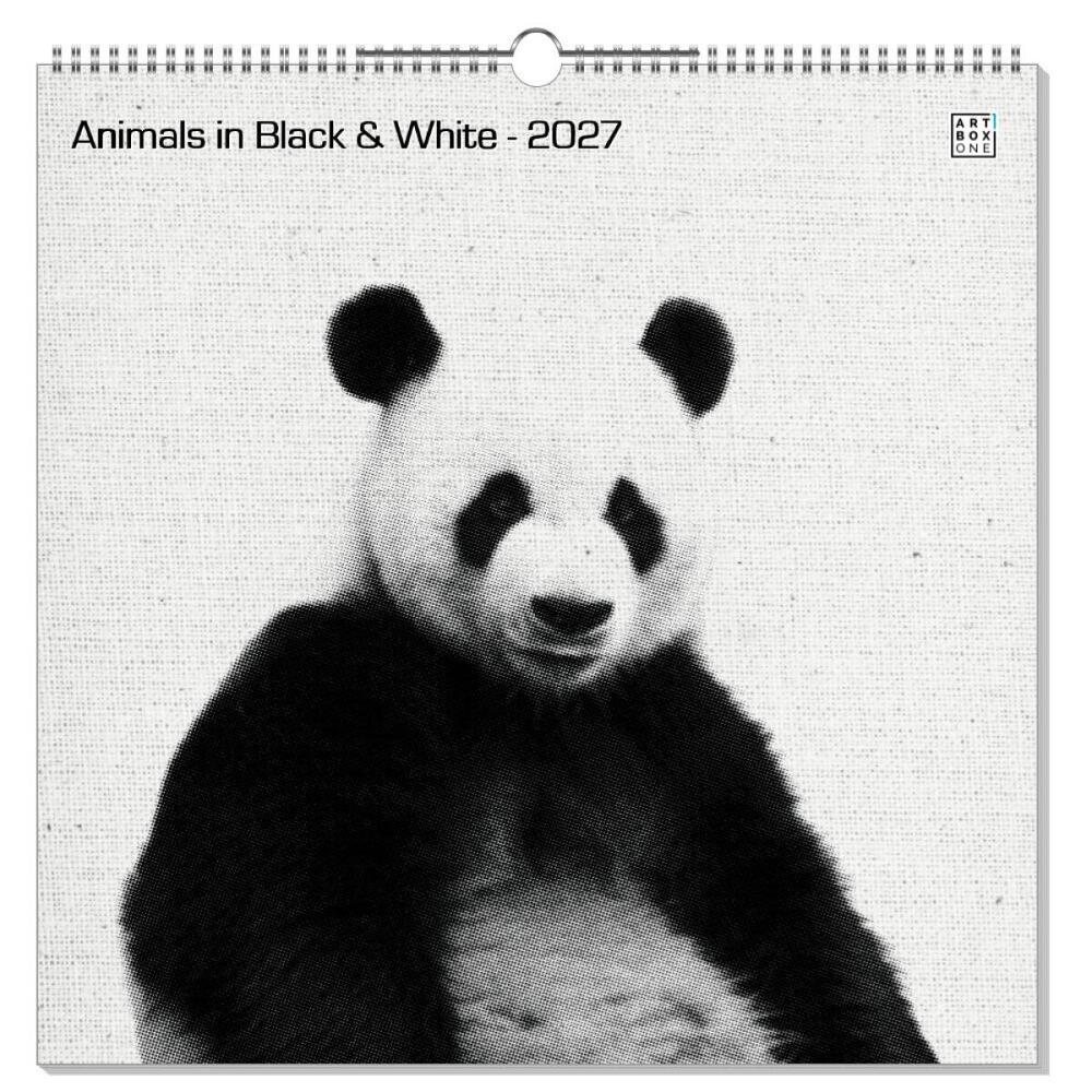 artboxONE Wandkalender Quadratisch XXL 2026 Animals in Black & White Tiere