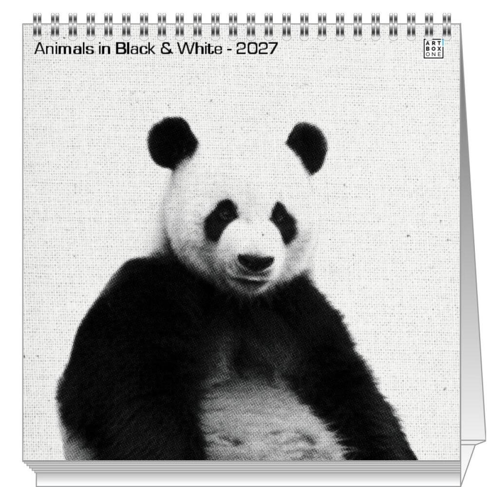 artboxONE Tischkalender 2024 Animals in Black & White Tischkalender Groß 2025 Tiere