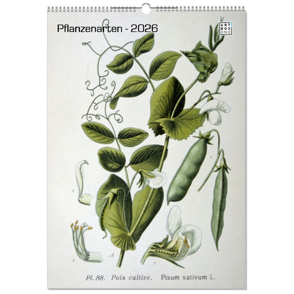 artboxONE Wandkalender A2 2026 Pflanzenarten Pflanzen