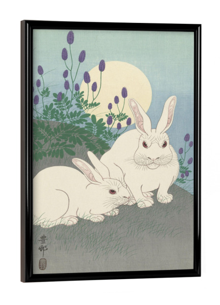 Poster mit schwarzem Rahmen "Kaninchen in voller Größe" artboxONE - Natur,Tiere