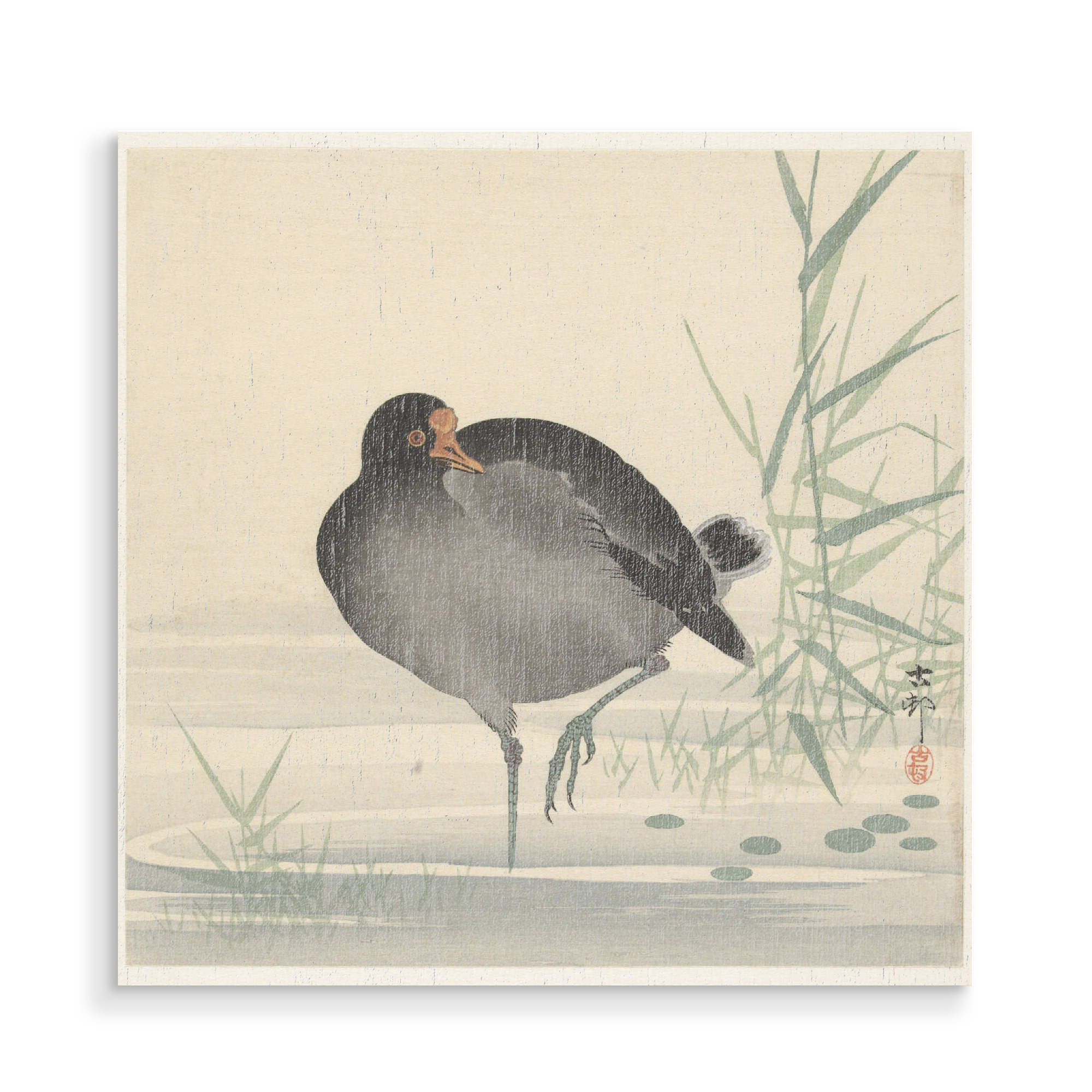 Holzbild "Teichralle" artboxONE - Natur,Tiere - Ohara,Koson,Natur,Animal,Tier,Nature,Teichralle,Pflanze,Plant,Kunst,Malerei,Gemälde,Japan