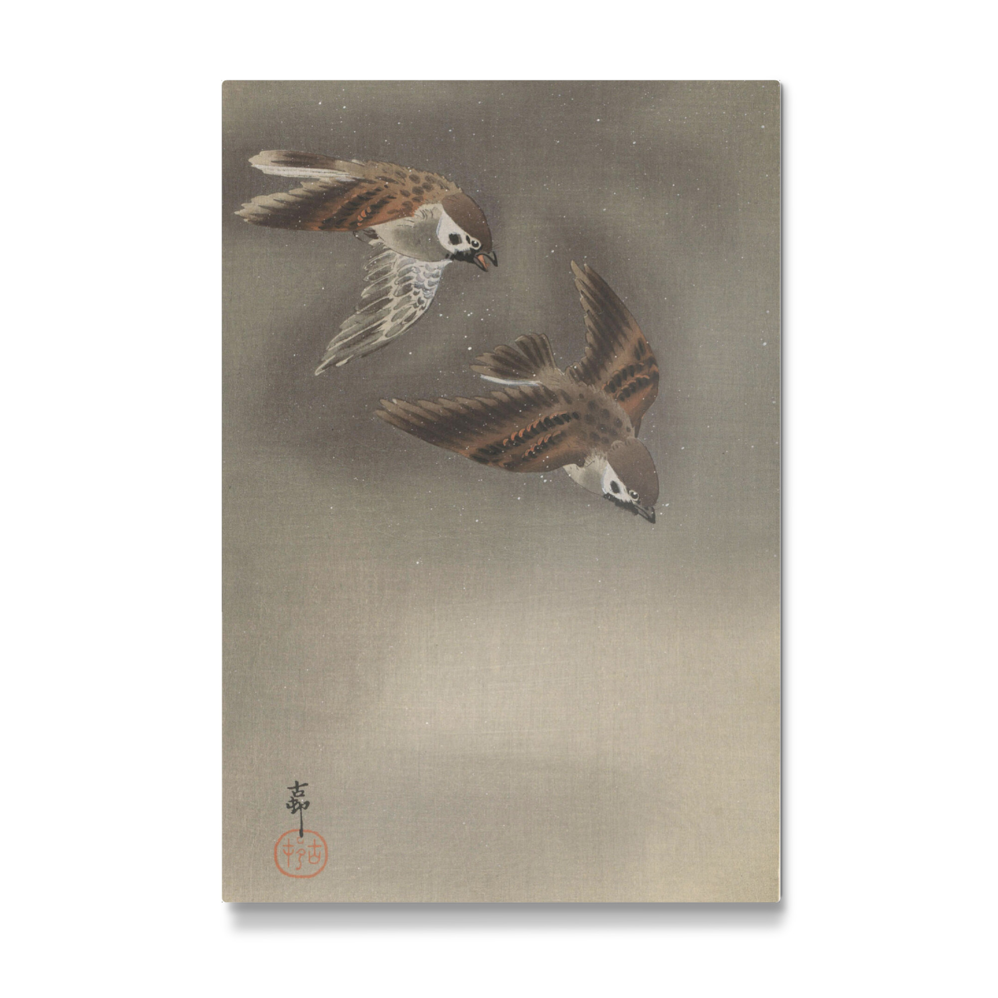Galerie-Print "Spatzen im Schnee" 30x20 cm artboxONE