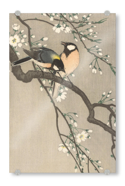Acrylglasbild "Meisen auf Kirschzweig" artboxONE - Natur,Tiere - Meisen,Birds,Vögel,Natur,Baum,Tree,Animal,Tier,Japan,Kunst,Malerei,Gemälde