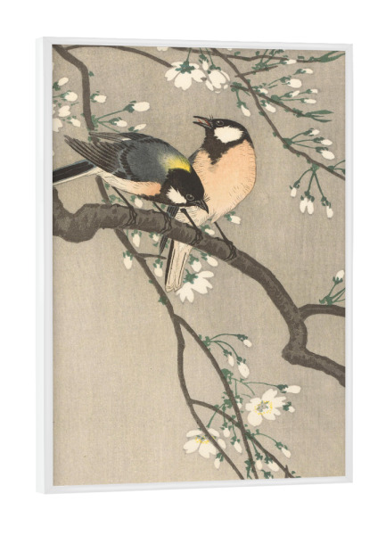 Poster mit weißem Rahmen "Meisen auf Kirschzweig" artboxONE - Natur,Tiere