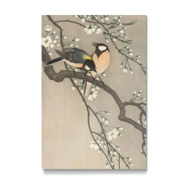 Galerie-Print "Meisen auf Kirschzweig" 30x20 cm artboxONE