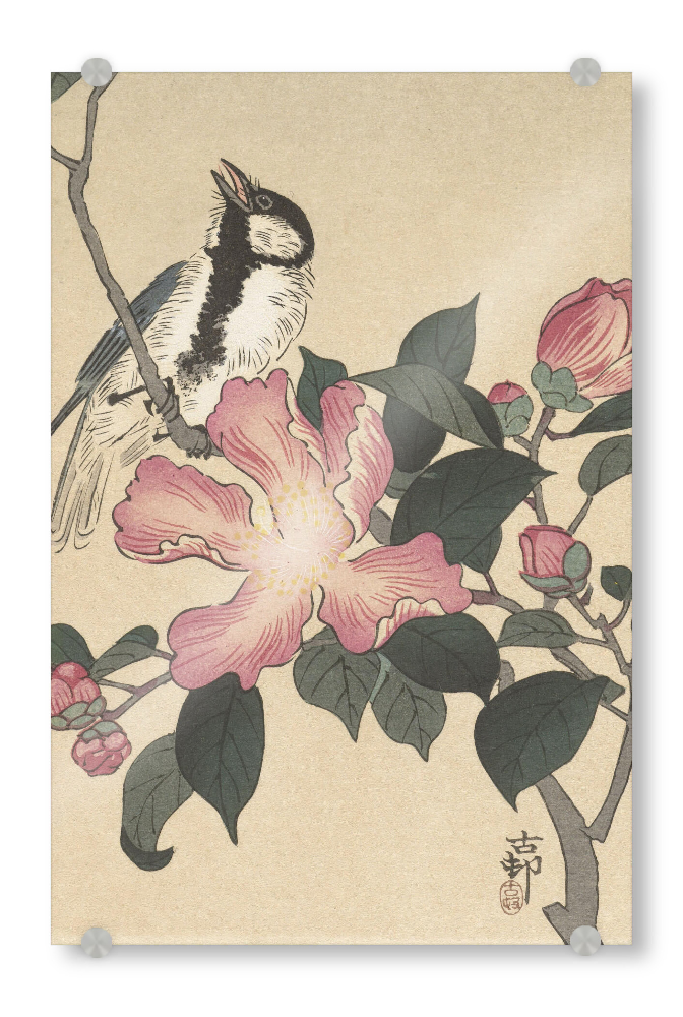 Acrylglasbild "Kohlmeise auf Zweig" artboxONE - Natur,Tiere - Ohara,Koson,Nature,Vogel,Bird,Ast,Blumen,Flowers,Pflanze,Malerei,Gemälde,Kunst,Japan