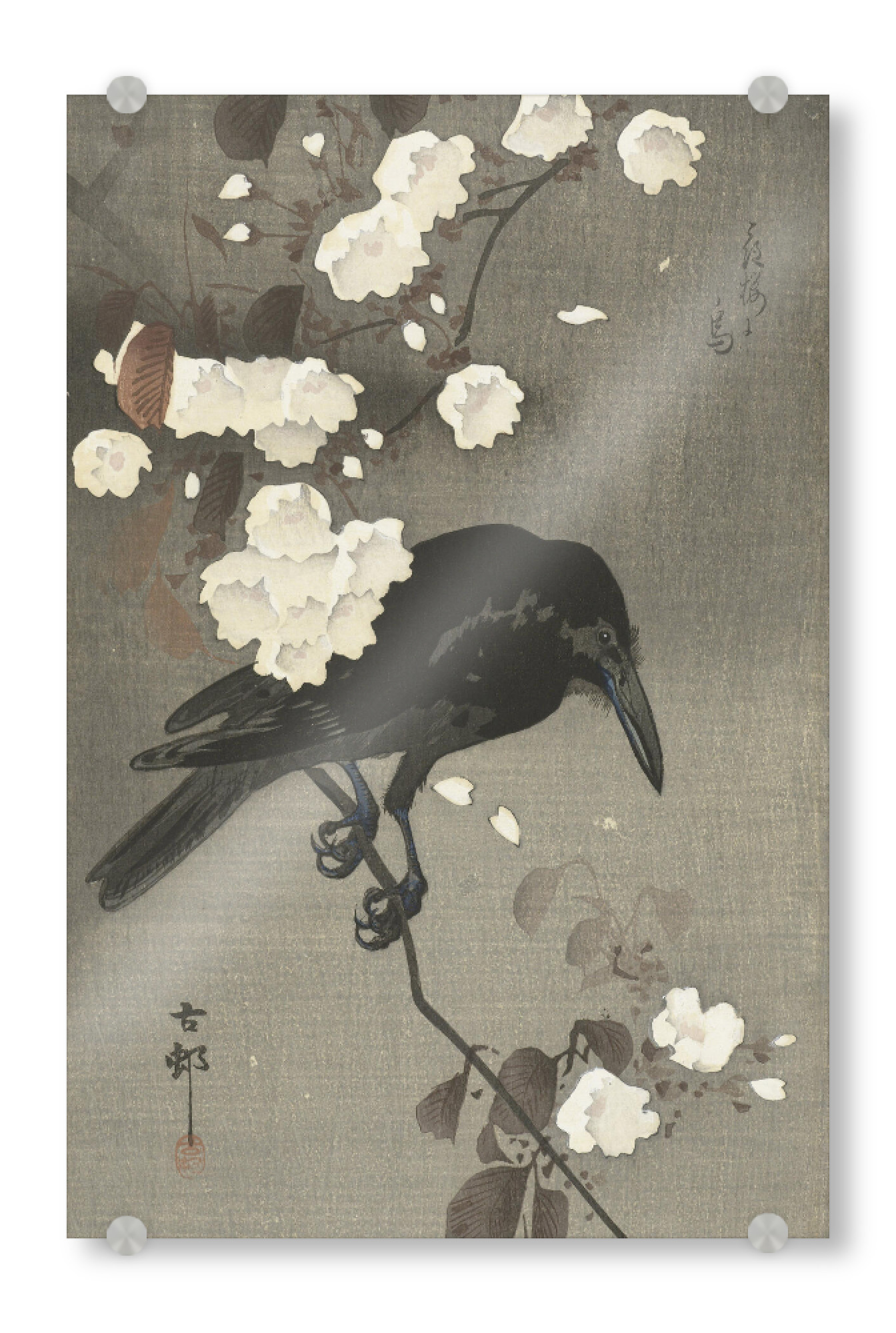 Acrylglasbild "Krähe mit Kirschblüte" artboxONE - Natur,Tiere - Ohara,Koson,Natur,Tier,Vogel,Bird,Krähe,Baum,Blumen,Malerei,Kunst,Gemälde,Japan