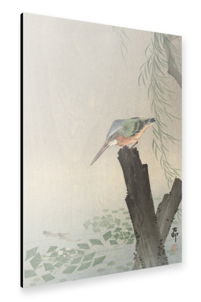 Alu-Dibond "Eisvogel auf Baumstumpf" 30x20 cm artboxONE