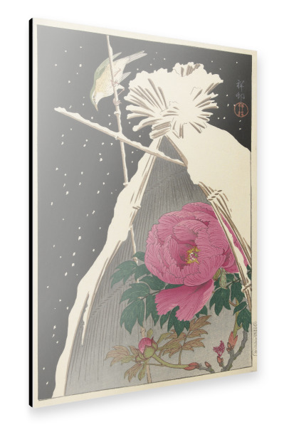 Alu-Dibond "Sibirische Blaunachtigall" 30x20 cm artboxONE