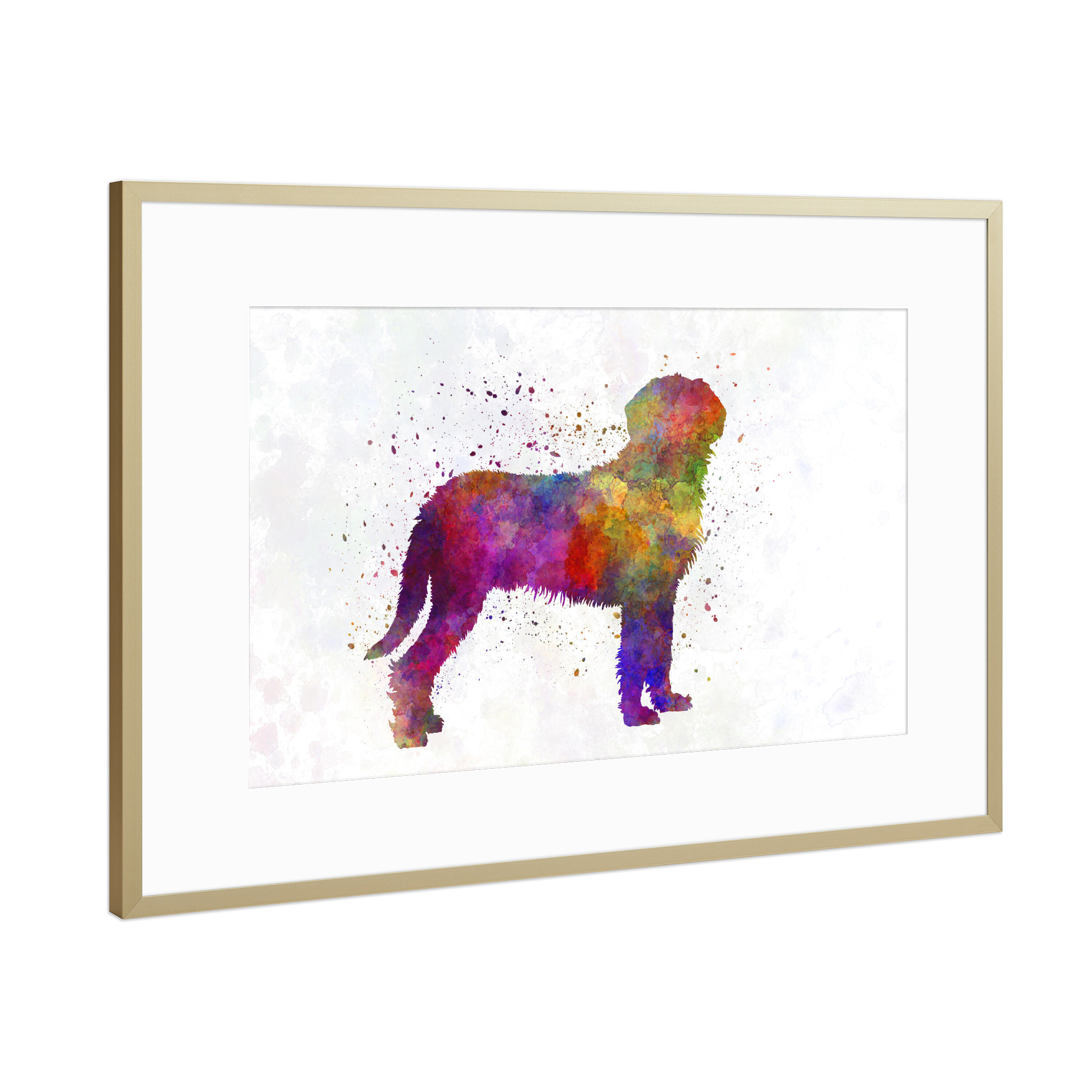 Poster mit Rahmen Gold "Styrian Coarsehaired Hound" artboxONE - Tiere,Abstrakt