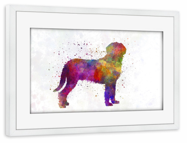 Poster mit Rahmen weiß "Styrian Coarsehaired Hound" artboxONE - Tiere,Abstrakt