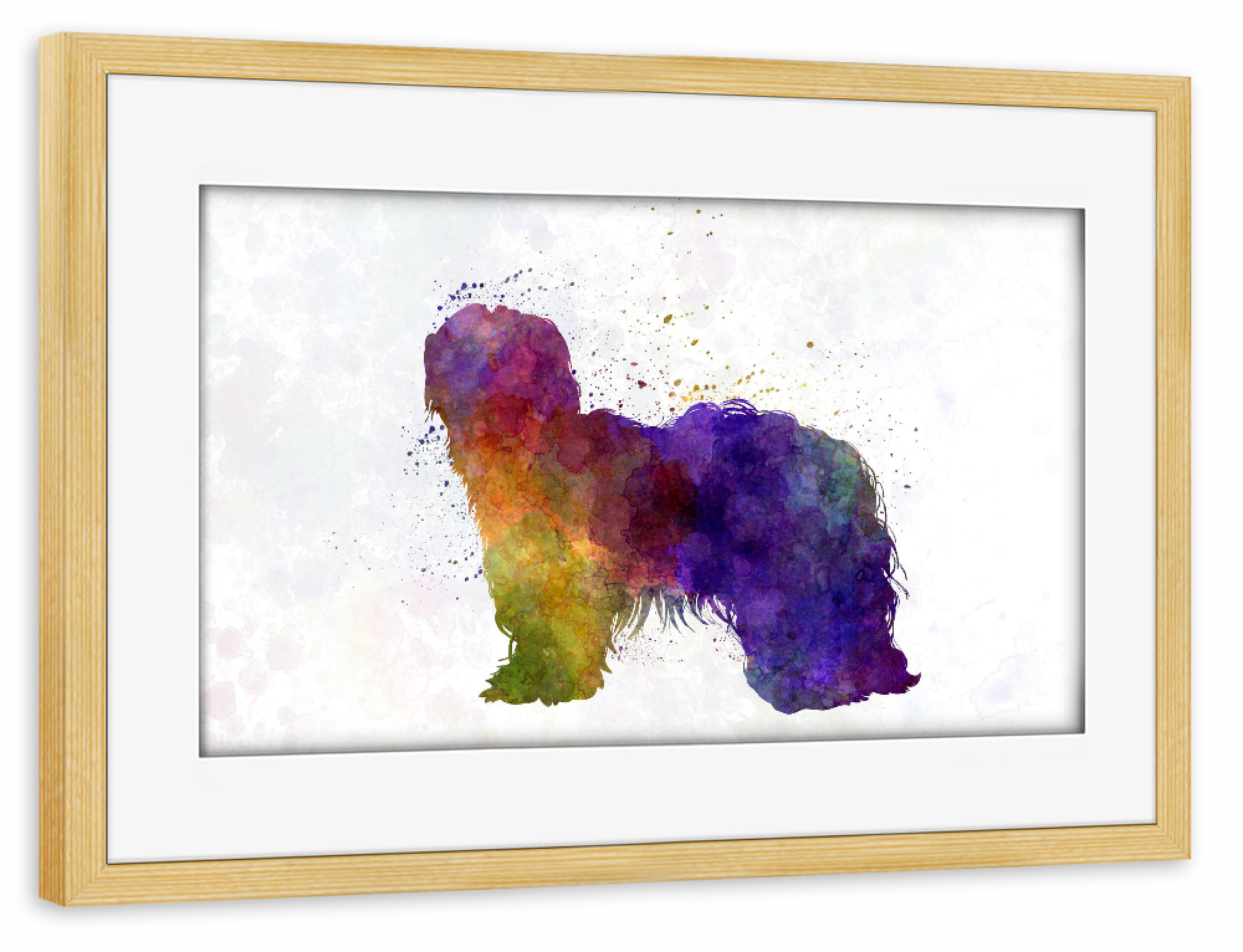 Poster mit Rahmen kiefer "Dutch Shapendoes in watercolor" artboxONE - Tiere,Abstrakt