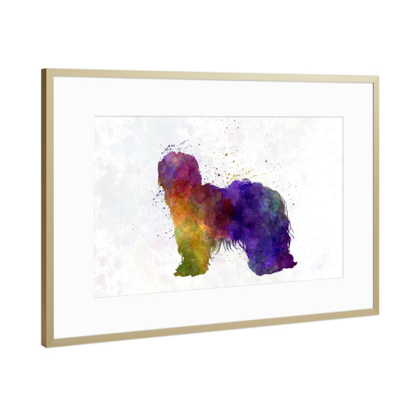 Poster mit Rahmen Gold "Dutch Shapendoes in watercolor" artboxONE - Tiere,Abstrakt