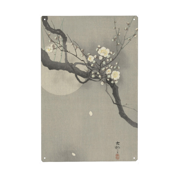 Metall Poster "Pflaumenblüte und Vollmond" artboxONE - Natur,Floral - Natur,Japan,Gemälde,Malerei,Kunst,Ohara,Koson,Ast,Blumen,Blüten,Blätter
