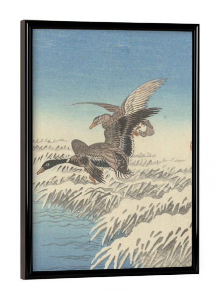 Poster mit schwarzem Rahmen "Entenschwarm" artboxONE - Natur,Tiere - Ohara,Koson,Malerei,Gemälde,Kunst,Natur,Enten,Vögel,Fliegen,Schnee,Winter,Japan